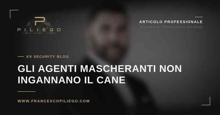 Gli agenti mascheranti non ingannano un cane ben addestrato, K9 detection dog, articolo di Francesco Piliego K9Secure